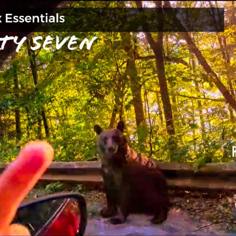 The Vix Essentials Thirty&nbsp;Seven