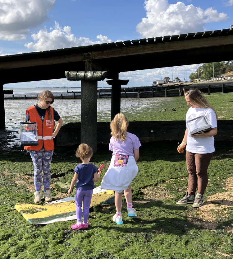 The Great British Beach Clean in&nbsp;Southend